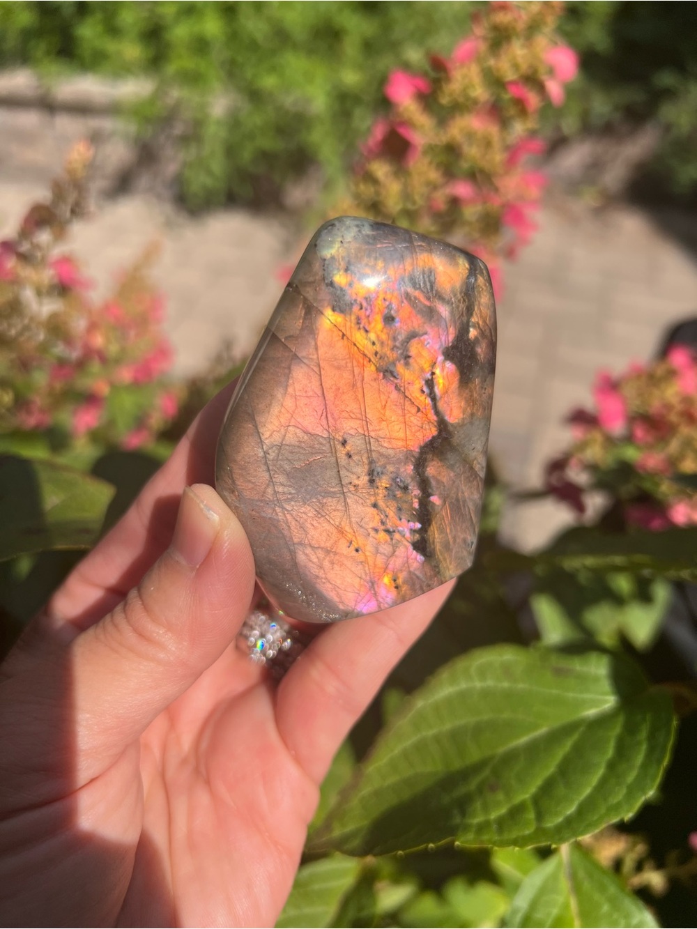 Labradorite (8) Freeform | crystal